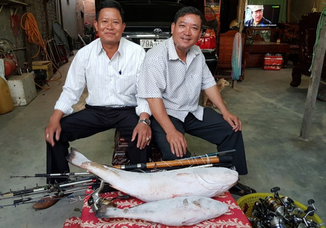 Hai ngư dân quyết định bán cặp cá sủ vàng với giá 1,5 tỷ đồng - 1
