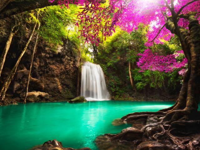 Ngất lịm với những thác nước trong rừng đẹp nhất thế giới