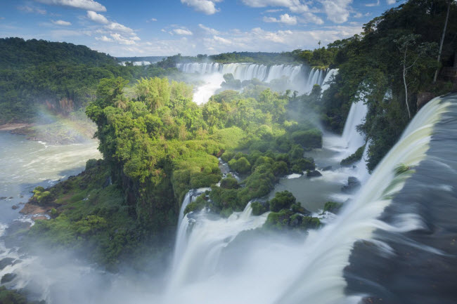 Rừng cây xanh mướt mọc trên đỉnh thác Igauzu, nằm trên đường biên giới giữa Argentina và Brazil.