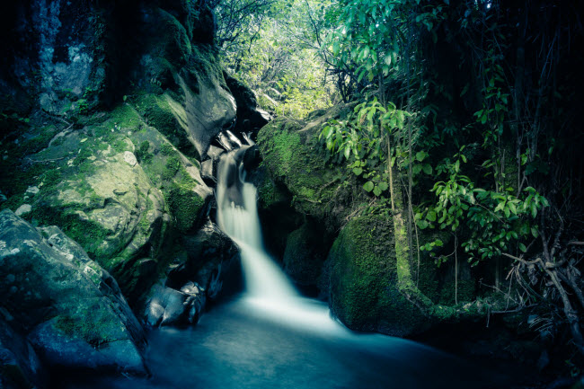 Thác nước tuyệt mỹ này nằm trong một khu vườn nguyên sinh ở vùng Wellington, New Zealand.