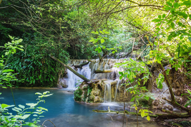 Cây xanh che phủ&nbsp;thác Krushuna ở Bulgaria. Nước ở đây có nhiệt độ khoảng 58 độ C và được cho là có tác dụng chữa bệnh thấp khớp và da.