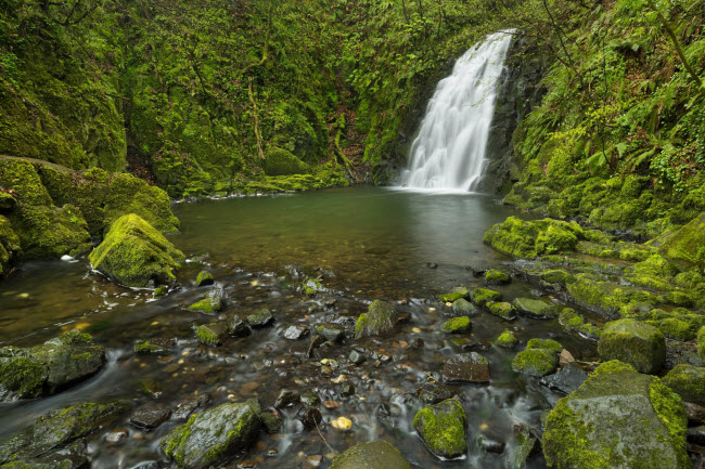 Thác Glenoe ở gần Larne, Antrim, Bắc Ireland.