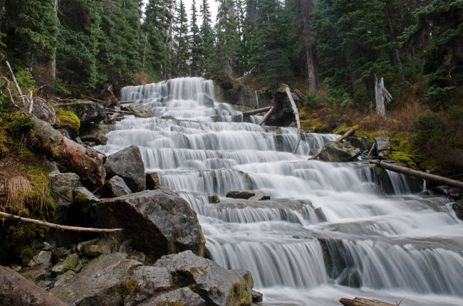 Nước chảy qua các bậc đá dọc một thác nước nhỏ trong vườn quốc gia Hồ Joffre ở British Columbia, Canada.