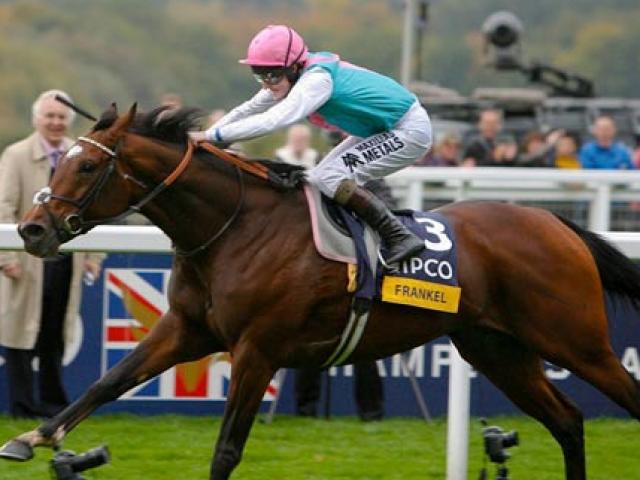 X&iacute;ch Thố&rdquo; v&ocirc; địch thi&ecirc;n hạ: 100% to&agrave;n thắng, cao gi&aacute; hơn cả ...