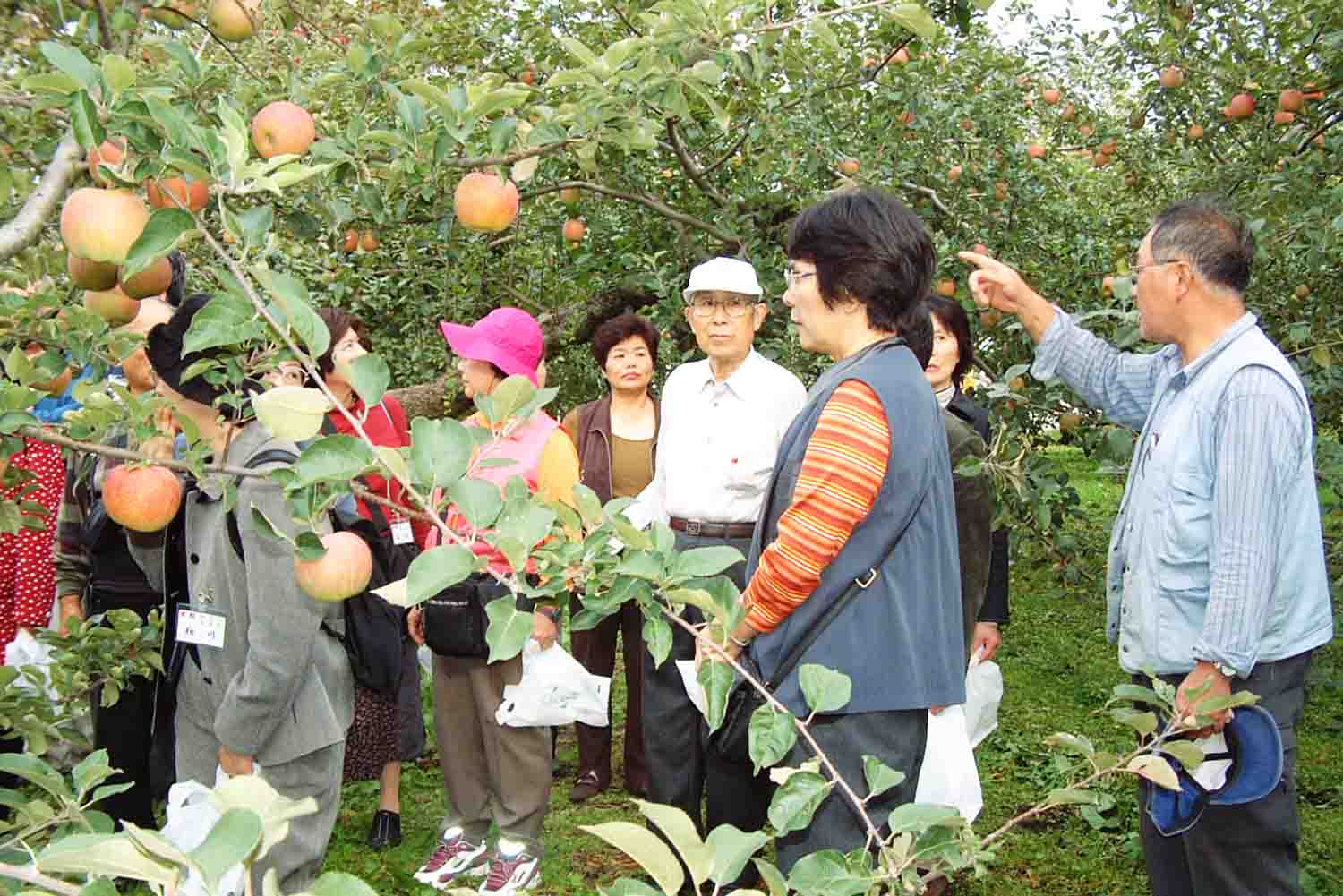 Đã tới Nhật Bản mà bỏ qua điểm du lịch này thì vô cùng uổng phí - 4