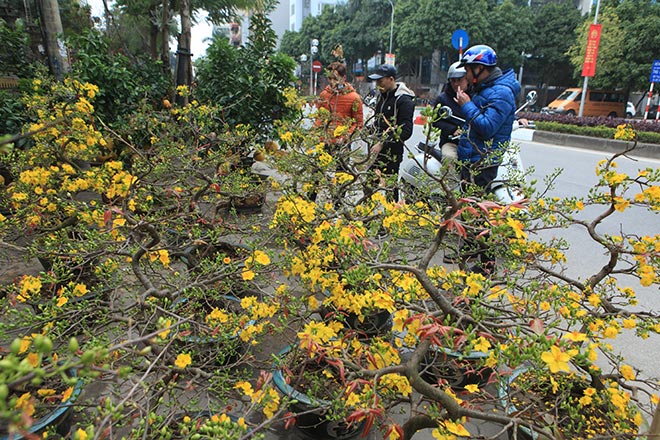 Tết đã về trên vỉa hè Hà Nội - 6