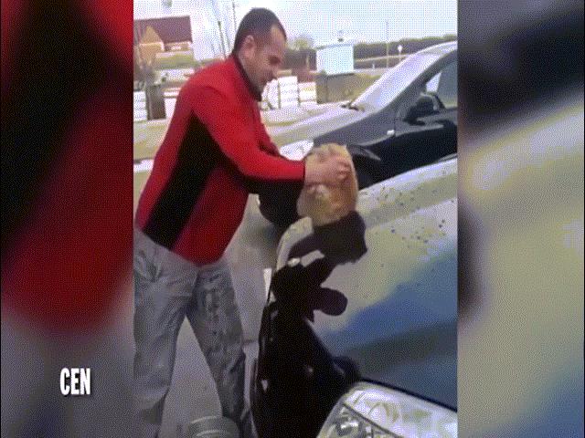 Thanh niên Nga dùng mèo làm giẻ lau ô tô gây phẫn nộ