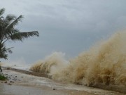 Tin tức trong ngày - Giáp Tết nguyên đán 2018, bão có thể xuất hiện trên Biển Đông