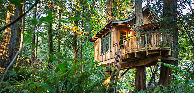 Khách sạn Tree House Point nằm trong một khu rừng ngay bên ngoài Seattle- Mỹ, tổng cộng có sáu ngôi nhà xây dựng trên cây để khách du lịch lựa chọn. Tất cả đều ấm cúng, nội thất mộc mạc với sắc xanh mướt mát bao quanh.