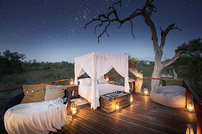 Khách sạn Chalkley Treehouse là một khách sạn sang trọng xây dựng ngay trên đồng bằng Nam Phi. Tại đây du khách có thể ngắm những vì sao và quan sát các loài động vật đi lang thang bên dưới ngôi nhà cây vào mùa hè.