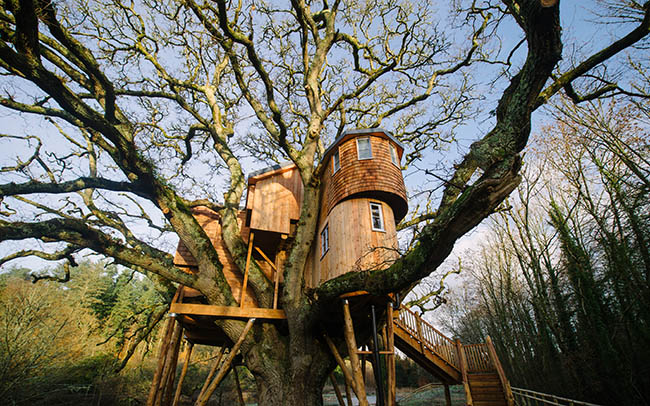 Treetops Treehouse tòa kiến trúc được xây dựng trên cây sồi 250 năm tuổi tại Devon Anh quốc. Có một phòng ngủ kingsize, nhà bếp, phòng tắm và phòng khách, tất cả đều được trang trí từ gỗ của chính cây sồi này.
