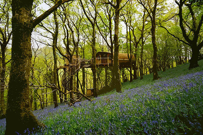 Nếu bạn đang tìm nơi nào mang cảm giác ấm cúng như ở nhà, thì Livinghouse Treehouses chính là nơi bạn đang tìm kiếm. Nằm sâu trong thung lũng thuộc dãy núi Welsh, khách sạn trở thành nơi ẩn náu hoàn hảo khỏi những ồn ào bận rộn thường ngày.