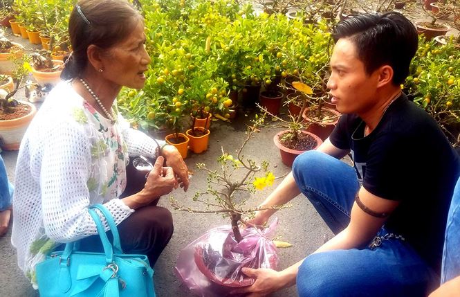 Mai bonsai “tí hon” chơi Tết hút khách ở Sài Gòn - 14