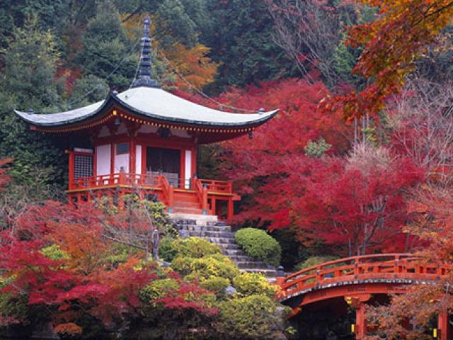Tới Nhật thăm ngôi chùa này vào mùa nào cũng đẹp xuất sắc