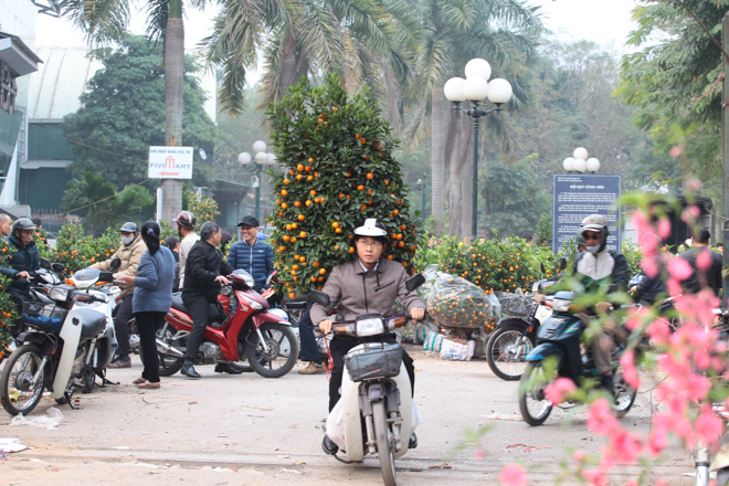 Xót xa cảnh dân buôn đập chậu, bỏ hoa, chạy lấy người chiều 30 Tết - 7