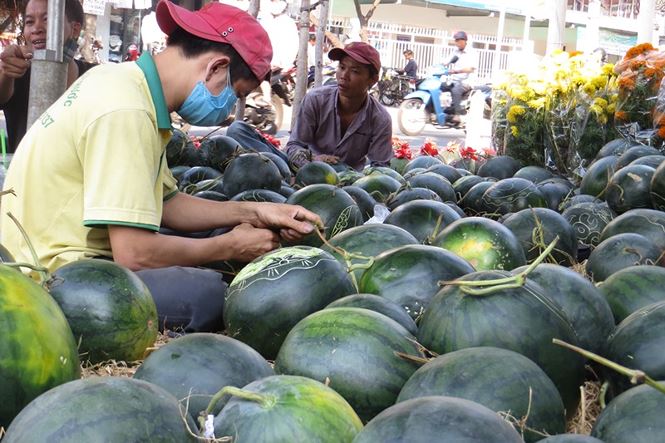 Dịch vụ &#39;làm đẹp&#39; dưa hấu kiếm tiền triệu ở Sài Gòn - 2