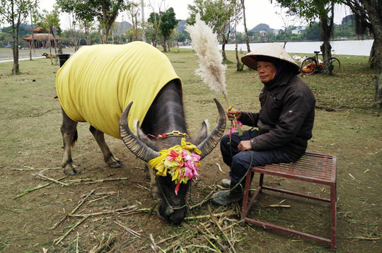 Ngắm long sàng – Bảo vật quốc gia ở cố đô Hoa Lư - 14