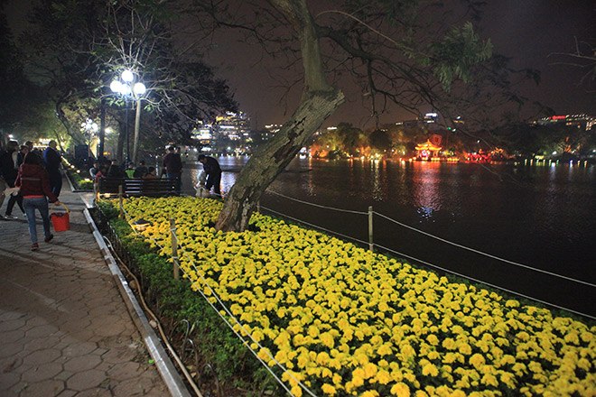 Vườn hoa ven Hồ Gươm &#34;sống sót&#34; sau đêm Giao thừa - 1
