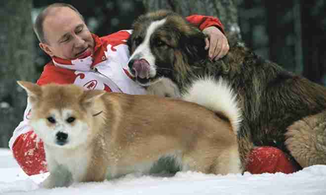 Nghệ thuật thuần dưỡng thú cưng của Tổng thống Putin - 1