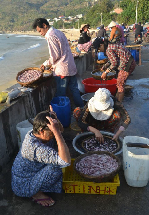 Ngư dân Bình Định trúng đậm ở chuyến ra khơi đầu năm - 2