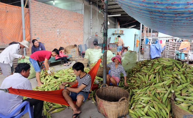 Chợ chỉ bán duy nhất một mặt hàng ở Sài Gòn - 2