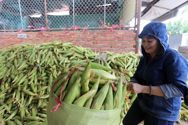Chợ chỉ bán duy nhất một mặt hàng ở Sài Gòn - 13