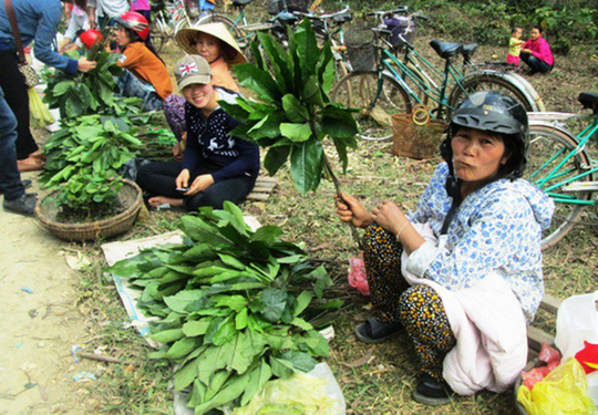 Ngàn người chen chân xin &#34;nước thánh&#34; dưới đỉnh ngàn Nưa - 14