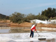 Thị trường - Tiêu dùng - Giá muối tăng cao ngất ngưởng, diêm dân Ninh Thuận cười... cả ngày