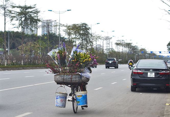 Nhà giàu Hà Nội chi tiền triệu chơi hoa lê rừng sau Tết - 19