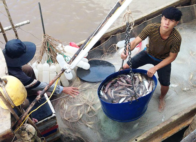 Sau Tết, cá khoai lên giá 105.000 đ/kg, ngư dân lãi 10 triệu/ngày - 4