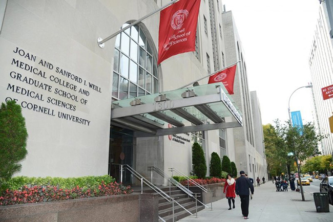Trường Y Weill Cornell - New York cổ điển, sang trọng là một phần của thành phố New York, đồng thời còn là nơi được biết đến trên toàn cầu như là một cơ sở nghiên cứu y khoa hàng đầu. Trường có kiến trúc rất tinh tế.
