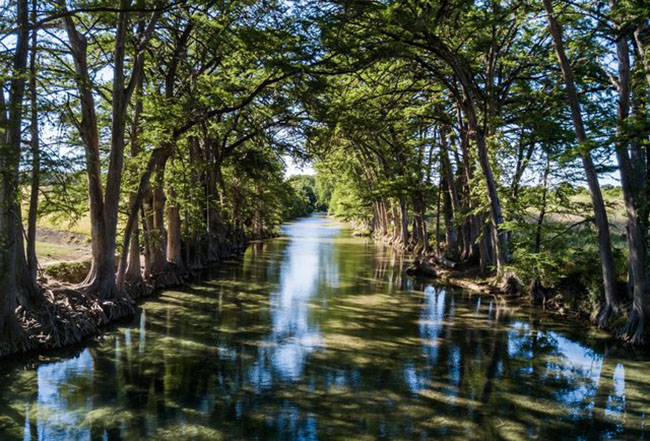 Sông Medina ở quận Bander: Con sông dài gần 190km này bắt đầu từ vùng Bandera County Tây Bắc và kết thúc ở phía đông nam của San Antonio. Xung quanh dòng sông được bao bọc bằng những khu rừng gỗ tuyết tùng, cây sồi sống và những núi đá vôi tạo cho dòng sống một cảnh quan vô cùng tươi đẹp.