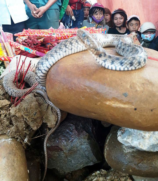 Nóng 24h qua: Bệnh nhân vác dao phay đòi “xử” bác sĩ vì lý do không tưởng - 5