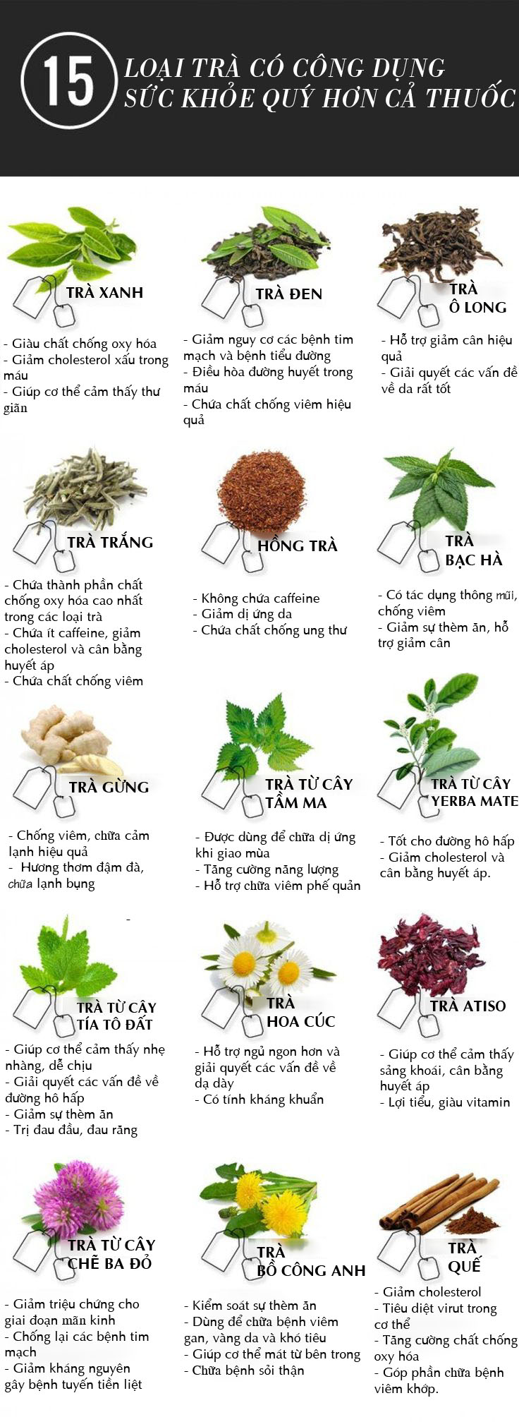 15 loại trà cho tác dụng sức khỏe hiệu quả hơn cả thuốc - 1