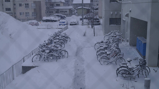 Khí hậu ở Aomori gần như luôn ở mùa đông với tuyết rơi rất dày đặc.