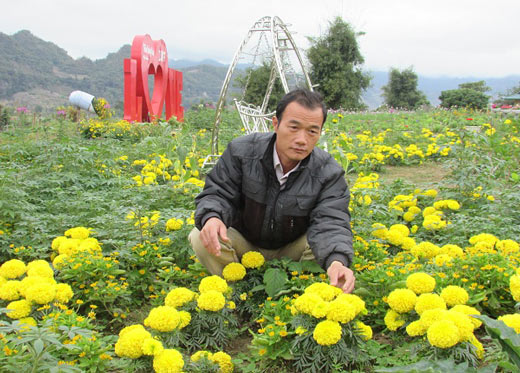 Trồng dâu tây bán quả, bán cả cảnh quan, &#34;bỏ túi&#34; có 300 triệu/năm - 3