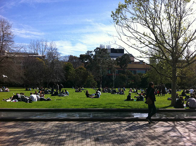 Trò chuyện, ăn, ngủ, và tắm nắng trên quảng trường đại học vào giữa giờ trưa. 