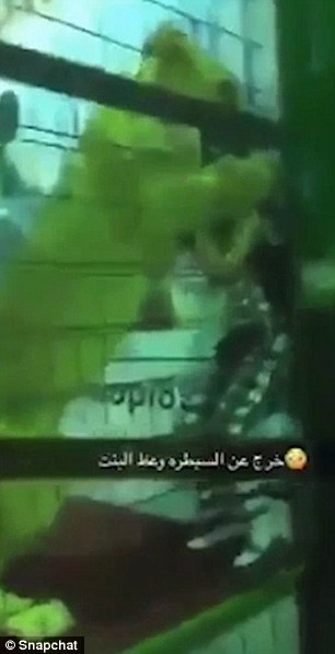 Sư tử bất ngờ lao vào tấn công bé gái ở Ả Rập Saudi - 1