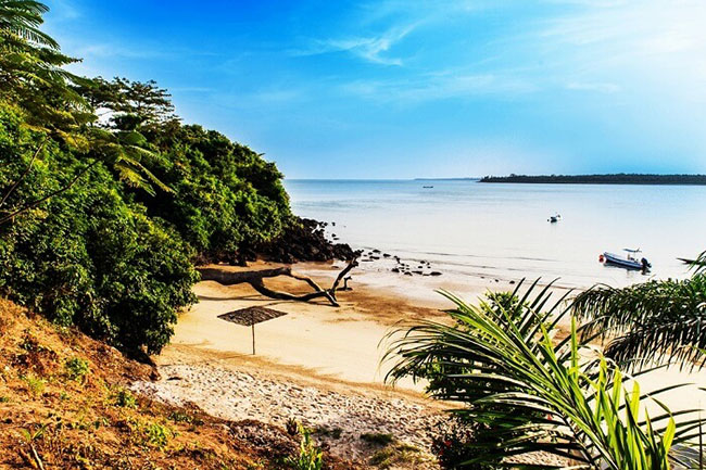 Gambia: Mặc dù Gambia là quốc gia nhỏ nhất của lục địa châu Phi nhưng nó vẫn thu hút du khách bởi&nbsp;những bãi biển cát vàng đẹp đến kỳ lạ. Địa điểm tham quan: Khu bảo tồn thiên nhiên Abuko, Bảo tàng Kachikally và Hồ bơi cá sấu, Công viên quốc gia Kiang Wes. Thời gian tốt nhất để tham quan: Tháng 11 đến tháng 2.