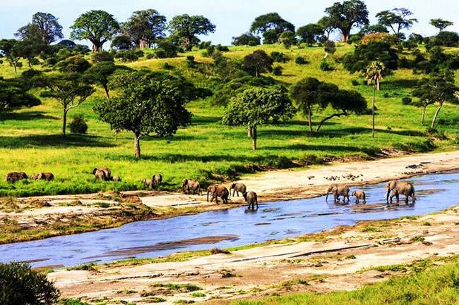 Tanzania: Được mệnh danh là thánh địa của những người đam mê động vật hoang dã trên khắp thế giới, Tanzania là một trong những địa điểm lựa chọn cho những cặp đôi ưa thích mạo hiểm đến trong tuần trăng mật. Thời gian tốt nhất để tham quan: Tháng 6 đến tháng 10 và cuối tháng Giêng đến tháng 2.