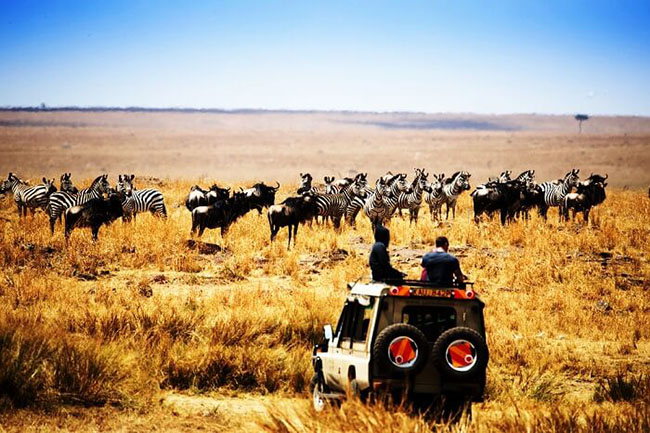 Kenya: Do xu hướng được trải nghiệm hòa mình với thiên nhiên trong tuần trăng mật của các cặp đôi ngày một gia tăng, Kenya đã trở thành một trong những điểm đến được lựa chọn nhiều ở Châu Phi. Phổ biến nhất là các dịch vụ thăm quan tại Vườn quốc gia Masai Mara nổi tiếng thế giới, Kenya là một sự kết hợp hoàn hảo của vùng cao nguyên miền núi, đồng cỏ và vùng hồ nước. Thời gian tốt nhất để tham quan: Cuối tháng 6 đến tháng 10.