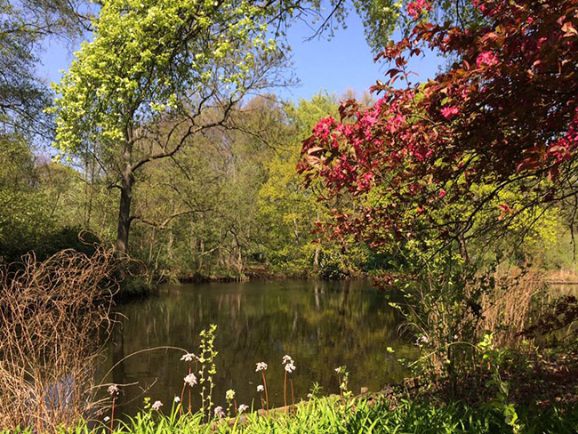 Công viên Tigergarten Park à một khu sinh thái nằm trong lòng Berlin với rất nhiều cây xanh, đường đi bộ và cả những hồ nước. Vào những dịp cuối tuần, Tiargaten như một ngày hội.