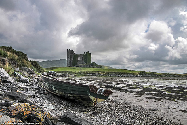 Lâu đài Ballycarbery, Ireland bị tấn công bằng súng đại bác trong chiến tranh vào năm 1652. Ngày nay, một số bức tường được phủ kín hoàn toàn trong rêu và cỏ dại.