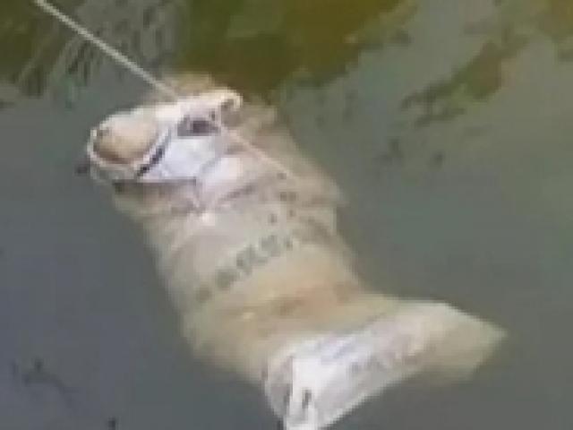 Phát hiện thi thể người đàn ông bị trói trôi trên sông Thương