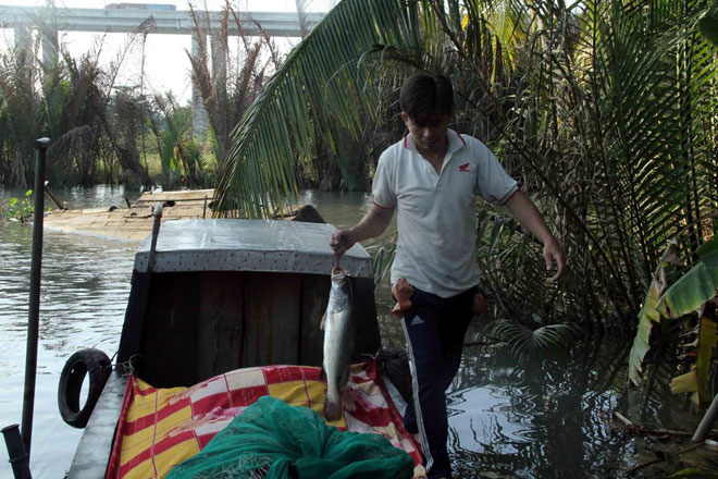 Theo chân thợ săn cá &#34;khủng&#34;, từng 2 lần được lộc trời ban ở Sài Gòn - 17