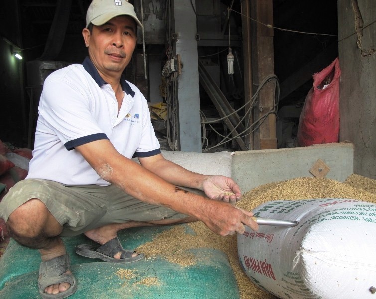 Người nhặt vàng trong bao lúa sẽ giao vàng cho chính quyền niêm phong - 1