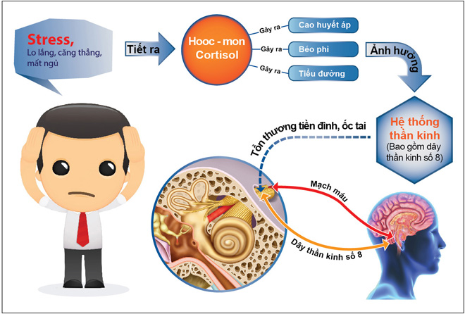 Cách tìm lại giấc ngủ ngon sau 30 năm thức trắng - 1