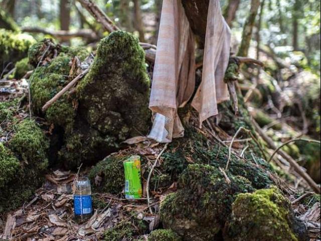 Bên trong khu rừng tự sát ám ảnh nhất nước Nhật