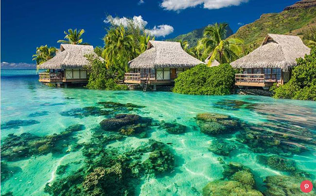 Đảo Moorea ở Polynesia, Pháp: Với những ngọn núi lửa hùng vĩ, đầm lầy xanh, và những bãi cát trắng – Moorea thật sự là nguồn cảm hứng cho những du khách đến nơi này.