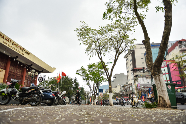 Hà Nội mùa này đẹp dịu dàng với những góc phố đẹp mong manh trong sắc hoa sưa, của lá vàng rơi ngập dưới chân.